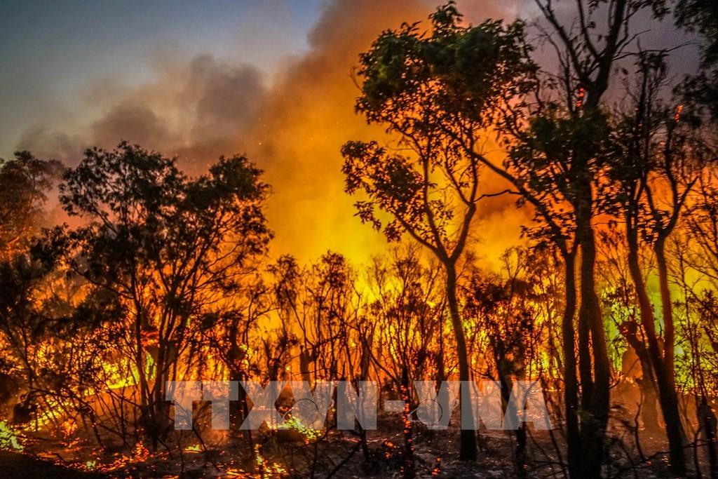 Australia cảnh báo cháy rừng thảm khốc ở bang miền Nam