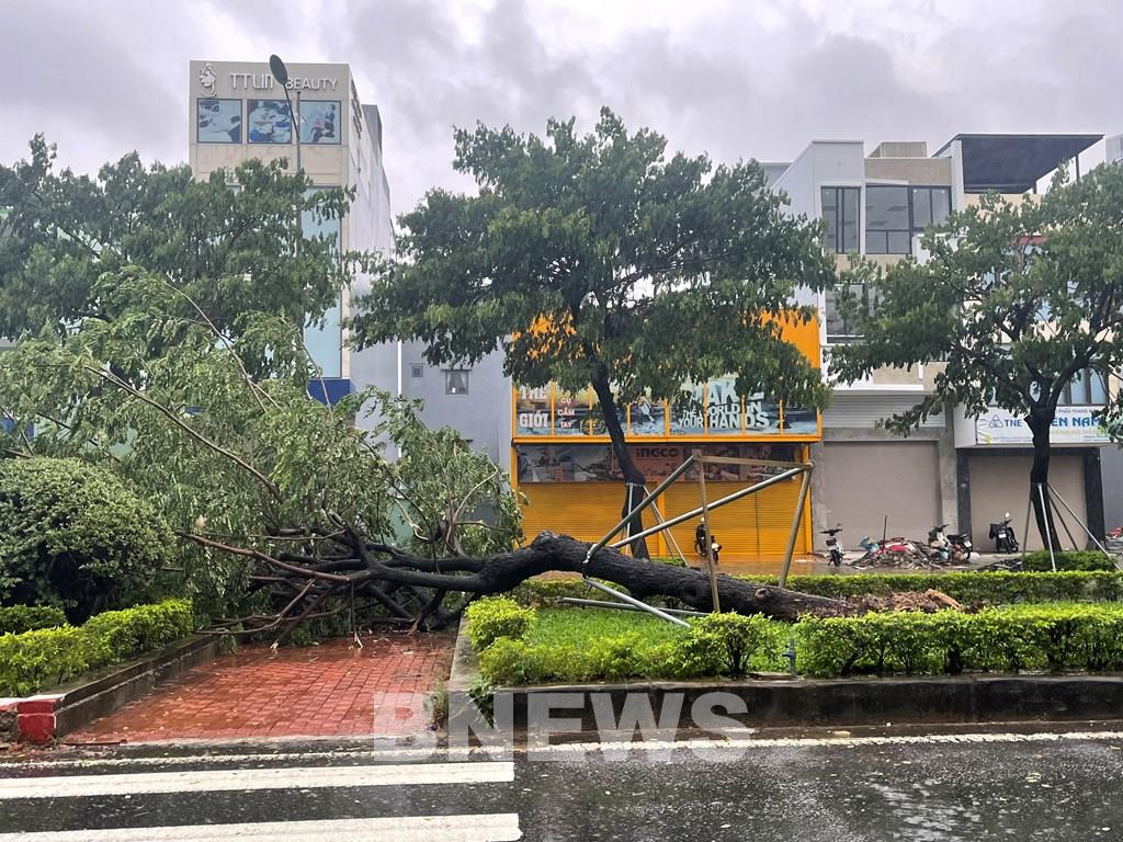 UBND tỉnh: Công điện ứng phó khẩn cấp với bão số 9
