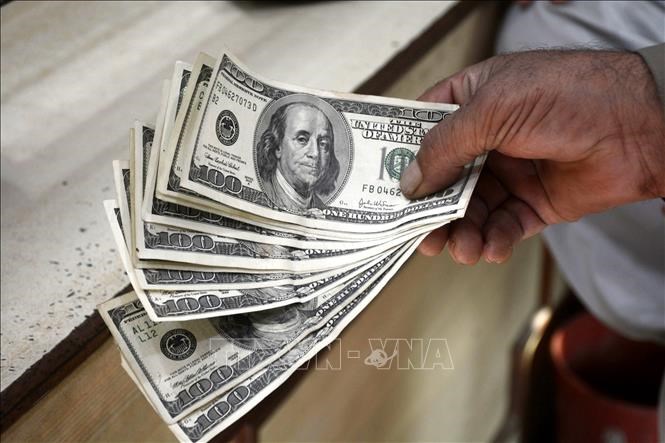 vna-potal-gioi-chuyen-gia-du-bao-ve-dong-usd-trong-nam-2019-stand-20221103150436.jpeg