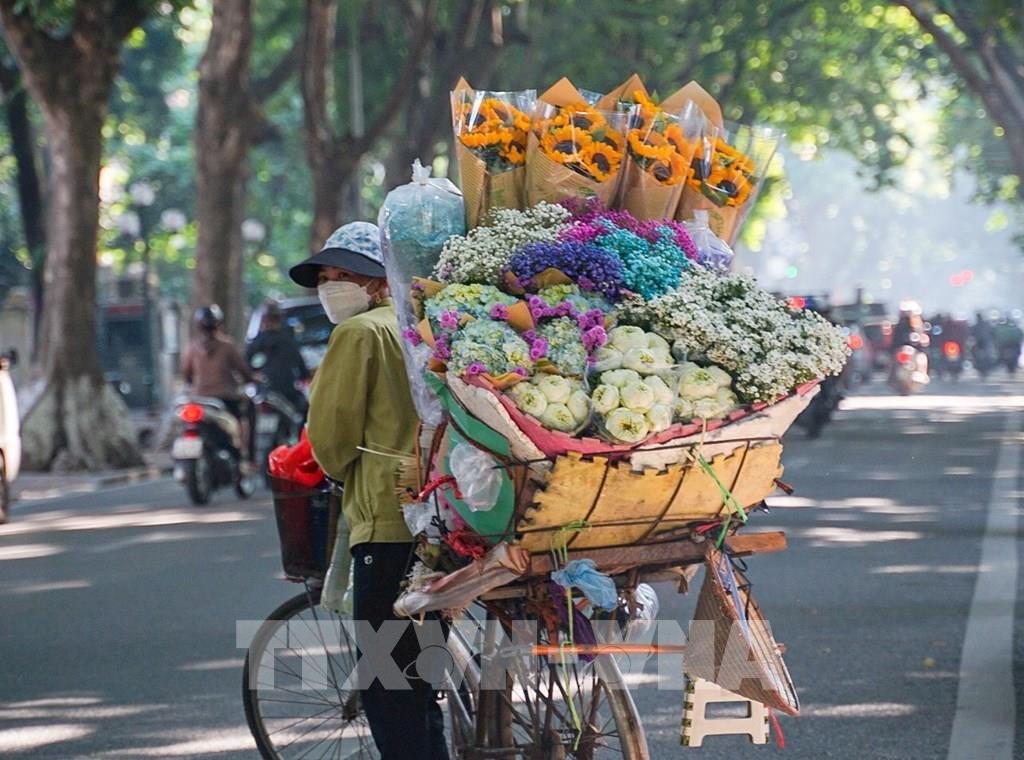 Mùa Thu: Mùa thu rất đẹp tại Việt Nam, với những tán lá vàng óng ánh trên khắp đất nước. Hãy cùng chiêm ngưỡng những khoảnh khắc đẹp trong mùa thu thông qua các hình ảnh tuyệt đẹp.