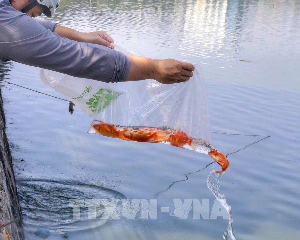 Hình ảnh người dân Thủ đô thả cá chép trong Tết ông Công, ông Táo