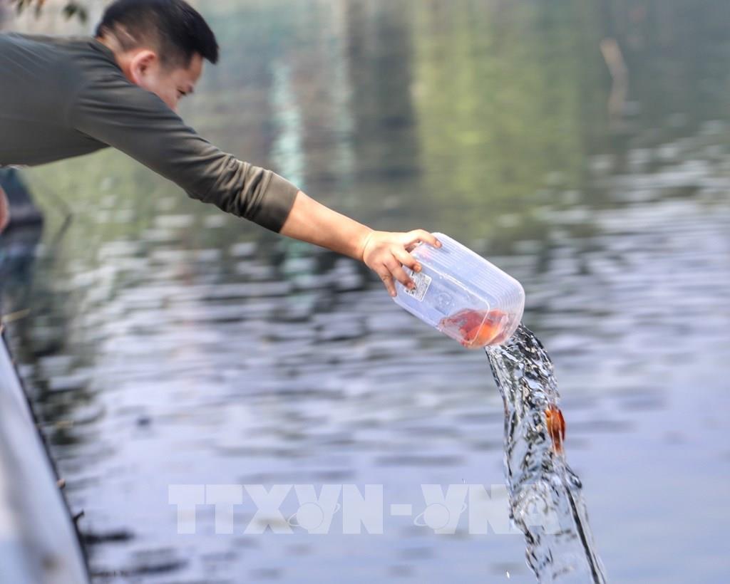Hình ảnh người dân Thủ đô thả cá chép trong Tết ông Công, ông Táo