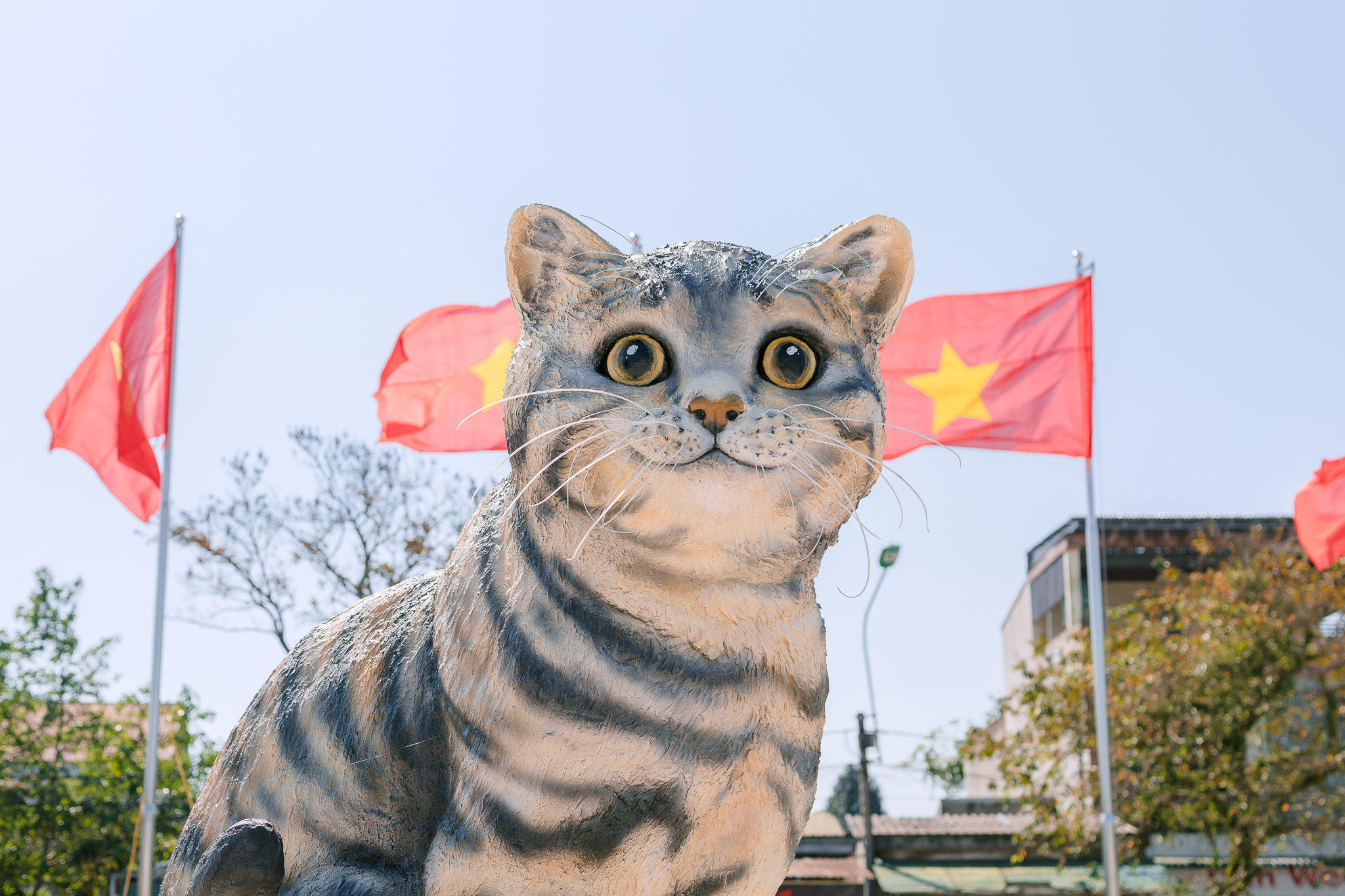 Linh vật mèo của tỉnh thành nào đẹp nhất Tết Quý Mão 2023  Báo Người lao  động