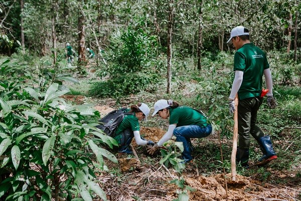 Nestlé hợp tác thúc đẩy nông nghiệp tái sinh và phát thải thấp tại Việt Nam