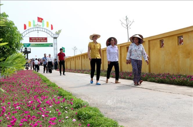 Nhân rộng các mô hình khuyến nông hiệu quả  Viện Khoa học Nông nghiệp Việt  Nam