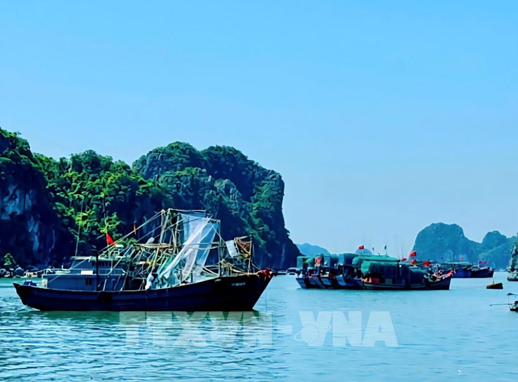 212120-ung-pho-bao-so-9-quang-ninh-hoan-thanh-cong-tac-chuan-bi-phong-chong-bao.jpg