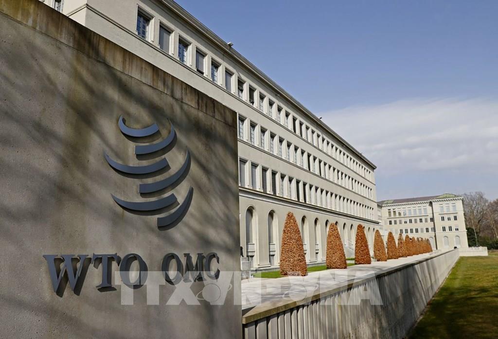 151556-eu-keu-goi-cai-to-khan-cap-wto.jpg