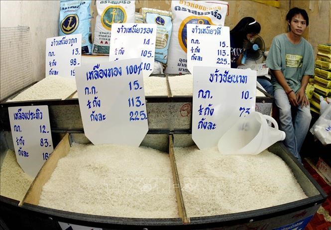 vna-potal-xuat-khau-gao-cua-thai-lan-giam-21-trong-6-thang-dau-nam-stand-20250927180026.jpg