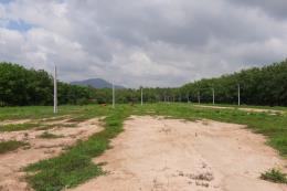 Tháo dỡ, khôi phục lại đất nông nghiệp bị phân lô trái phép Tháo dỡ, khôi phục lại đất nông nghiệp bị phân lô trái phép