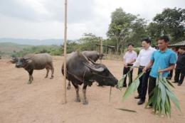 Tín dụng chính sách nơi phên dậu của Tổ quốc Tín dụng chính sách nơi phên dậu của Tổ quốc