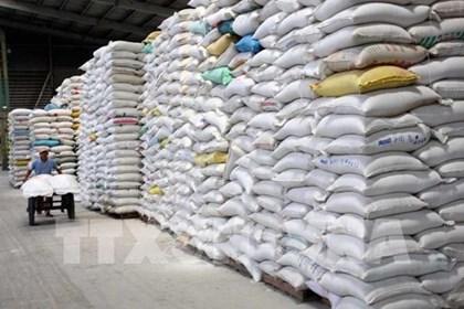 Xuất cấp hơn 668 tấn gạo dự trữ quốc gia hỗ trợ các địa phương dịp giáp hạt năm 2025