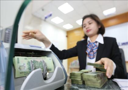 Quy định mới về phân bổ vốn cho các địa phương để phát triển kinh tế nông, lâm nghiệp bền vững