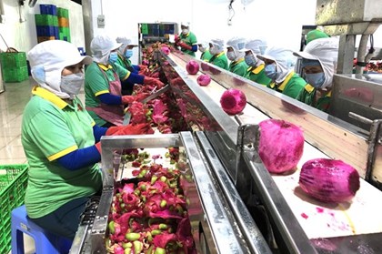 Đa dạng thị trường xuất khẩu nông sản Việt
