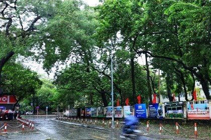 Hà Nội tăng mảng xanh tại một loạt công trình đô thị