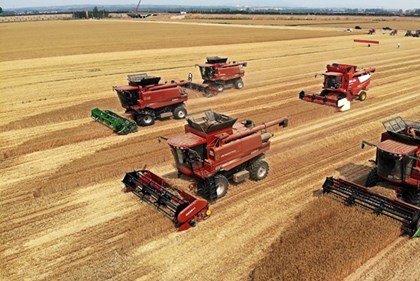 Sản lượng ngũ cốc năm 2026 của Trung Quốc dự kiến tăng nhẹ