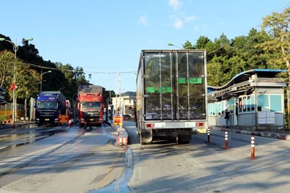 Doanh nghiệp xuất khẩu thực phẩm sang Trung Quốc cần lưu ý khi Nghị định số 280 có hiệu lực từ 1/6