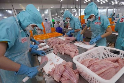 Cần Thơ thúc đẩy doanh nghiệp chuyển đổi số, sản xuất xanh Cần Thơ thúc đẩy doanh nghiệp chuyển đổi số, sản xuất xanh
