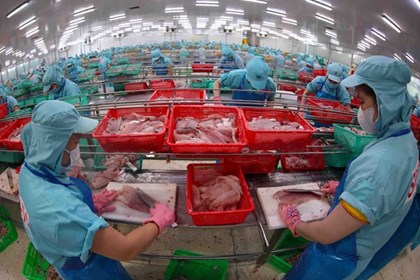 Đa dạng hóa thị trường để đưa nông sản Việt Nam vươn xa