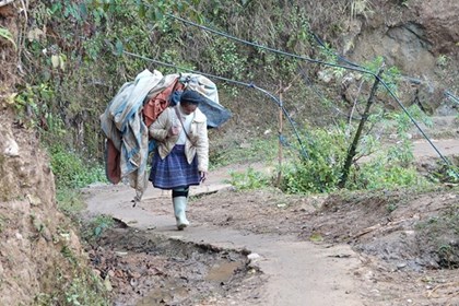 Rét đậm, băng giá có thể xuất hiện tại vùng núi phía Bắc
