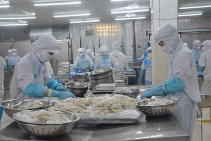 Đón đầu xu hướng, doanh nghiệp thủy sản vào cuộc xanh hóa
