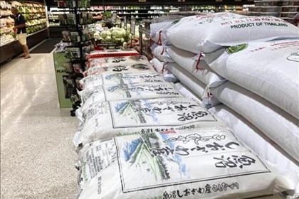 Người tiêu dùng Nhật Bản dần chuyển sang sử dụng gạo nhập khẩu