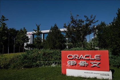 Oracle và OpenAI hủy dự án mở rộng trung tâm dữ liệu AI
