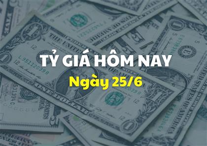 Tỷ giá hôm nay 25/6: Giá USD giảm nhẹ, NDT tiếp đà tăng
