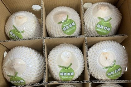 Xuất khẩu chính ngạch gần 22 tấn dừa tươi Việt Nam qua cửa khẩu Bắc Luân II