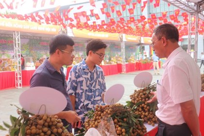 Phiên chợ nhãn lồng - Nông sản tiêu biểu tỉnh Hưng Yên hút khách