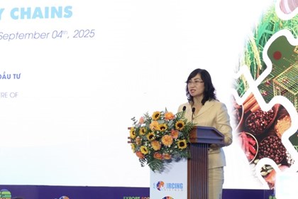 Kết nối trực tiếp các nhà bán lẻ, phân phối lớn đưa hàng Việt vươn xa