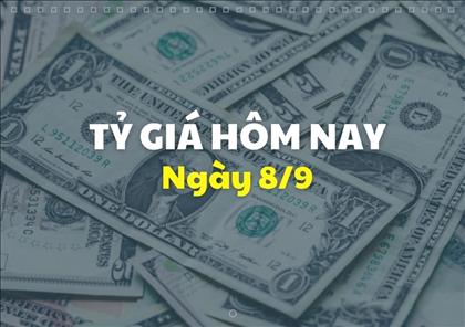 Tỷ giá hôm nay 8/9: Giá USD và NDT biến động trái chiều