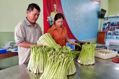 Khánh Hòa: Đòn bẩy kinh tế cho sản phẩm miền núi