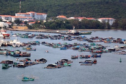 Đầu tư xứng tầm cho nghề nuôi biển
