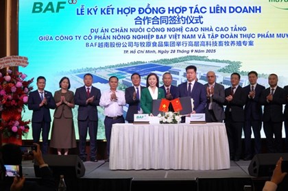 Doanh nghiệp Việt - Trung hợp tác cung ứng lợn thịt cho khu vực phía Nam