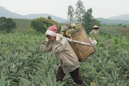 Ngày 1/10 Bộ trưởng Bộ Công Thương sẽ đối thoại trực tiếp với nông dân