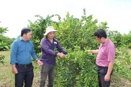 Kinh tế tập thể bứt phá: Khi chính sách thắp lửa khát vọng