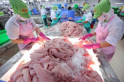 Thủy sản Việt loay hoay tìm về “sân nhà”