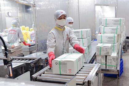 Cải tiến công nghệ, kết nối thị trường nâng tầm thủy sản Việt