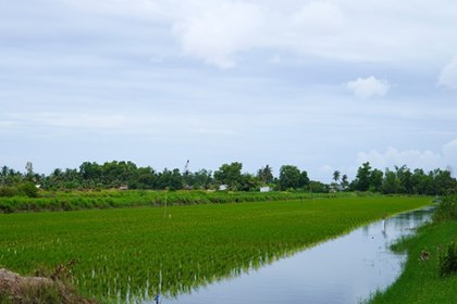 Giảm phát thải - “giấy thông hành” mới cho nông sản Việt