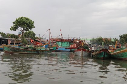 Đồng Tháp siết chặt quản lý đội tàu, quyết tâm gỡ “thẻ vàng” IUU