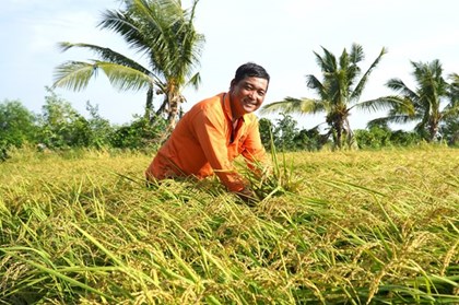 Làm giàu từ nông nghiệp thông minh: Câu chuyện của nông dân An Giang