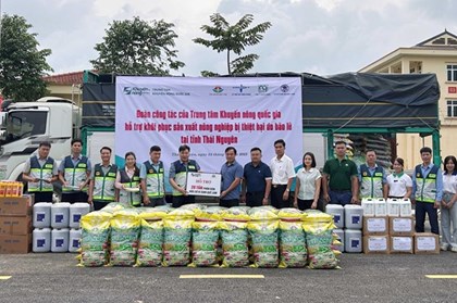 Khẩn trương khôi phục sản xuất nông nghiệp sau bão lũ