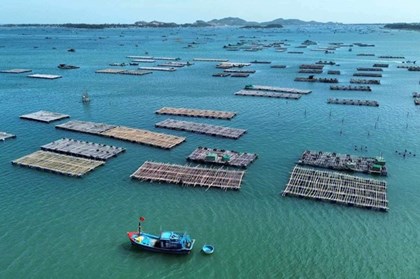 Đắk Lắk cơ cấu lại lĩnh vực nuôi trồng thủy sản