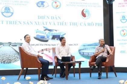 Đưa cá rô phi thành ngành hàng xuất khẩu chủ lực của Việt Nam