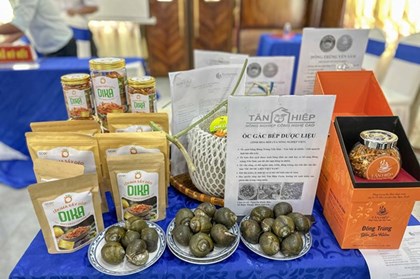 Cần Thơ kết nối sản phẩm đặc trưng với các đơn vị du lịch lớn