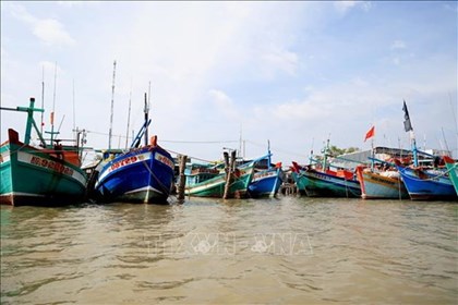 Cà Mau siết chặt quản lý tàu cá, ngăn chặn vi phạm IUU