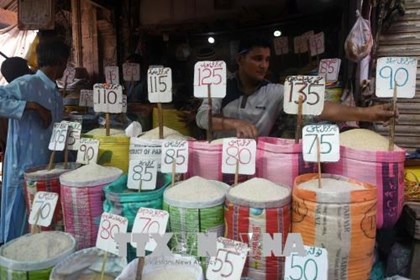 Xuất khẩu gạo của Pakistan sang Trung Quốc tăng mạnh