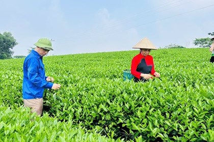 Thúc đẩy ứng dụng giải pháp sinh học để giảm phát thải khí mê-tan