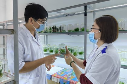 Từ cánh đồng đến nền tảng số: Hành trình tạo giá trị cho nông sản Việt
