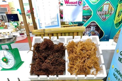 Hội chợ Mùa Thu 2025: Lan tỏa giá trị nông sản Việt